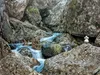 landart52