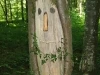 baumgesicht2