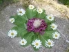 landart-40